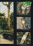 Timex 1998 121.jpg